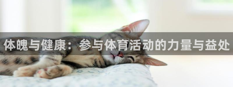 MK体育官方正版app集团官网首页：体魄与健康：参与