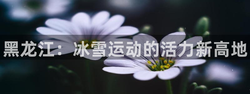MK体育官网下载招商电话地址是多少：黑龙江：冰雪运动的活力新