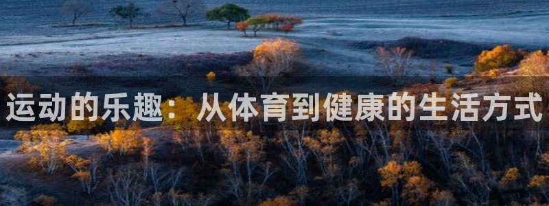 MK体育官网下载平台注册流程视频：运动的乐趣：从体育到健康的