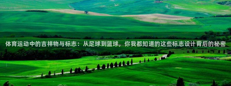 MK体育官方正版app官方：体育运动中的吉祥物与标志：从足球