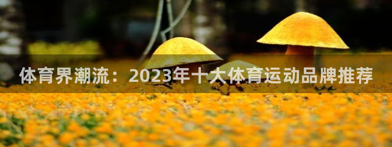 MK体育官方正版app神州：体育界潮流：2023年十大体育运