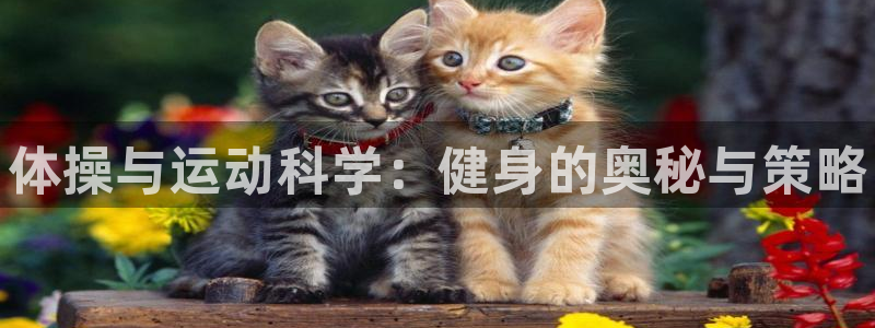 MK体育官网下载招商电话号码查询：体操与运动科学：健身的奥秘