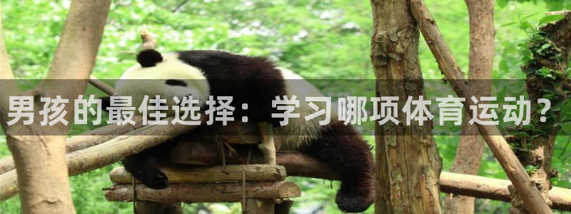 MK体育官方正版app科技：男孩的最佳选择：学习哪项体育运动