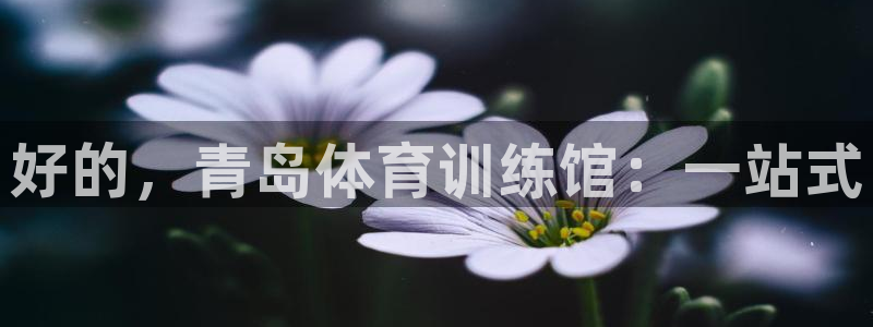 MK体育官网下载是干嘛的公司：好的，青岛体育训练馆：一站式