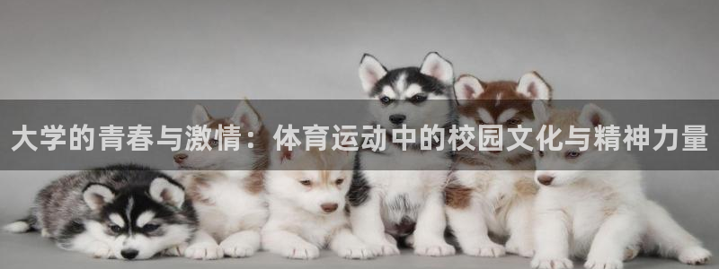MK体育官网下载平台注册：大学的青春与激情：体育运动中的校园