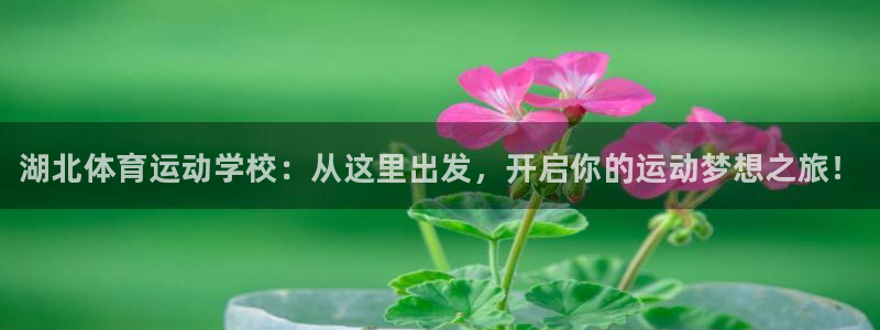 MK体育官网下载招商电话号码是多少号：湖北体育运动学校：从这