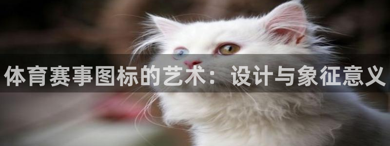 MK体育官方正版app集团官网首页网址