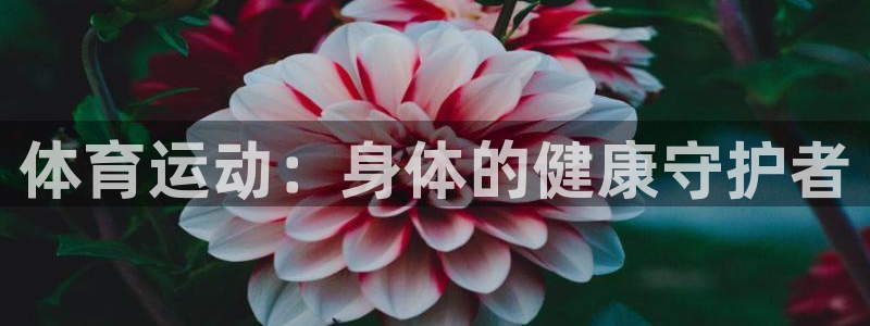 德国MK体育官方正版app集团：体育运动：身体的健康守护者