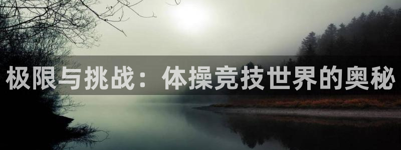 MK体育官方正版app娱乐：极限与挑战：体操竞技世界的奥秘