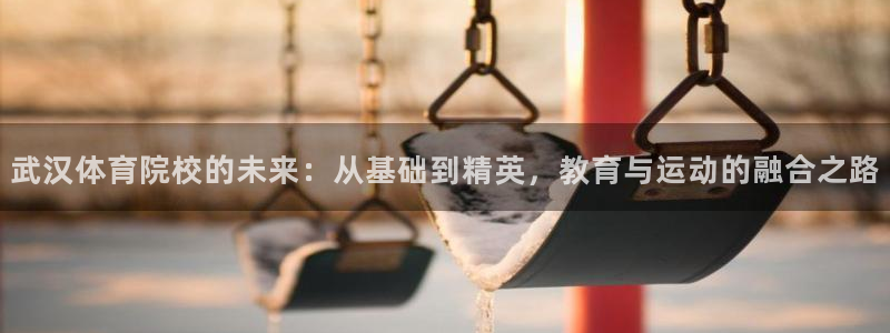 MK体育官方正版app娱乐平台：武汉体育院校的未来：从基础到