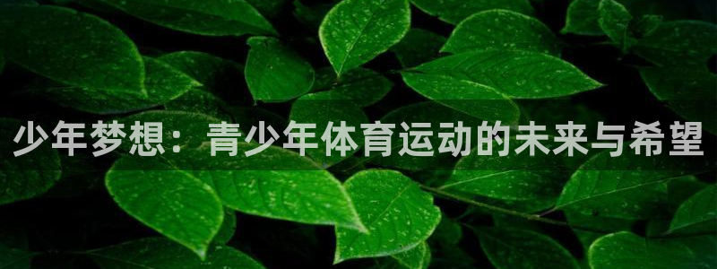MK体育官方正版app官方：少年梦想：青少年体育运动的未来与