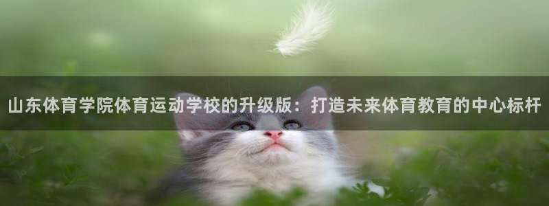 MK体育官方正版app集团简介：山东体育学院体育运动