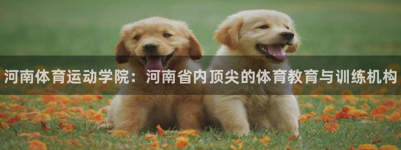MK体育官方正版app科技：河南体育运动学院：河南省内顶尖的