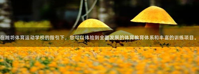 mk体育黑吗：在潍坊体育运动学校的指