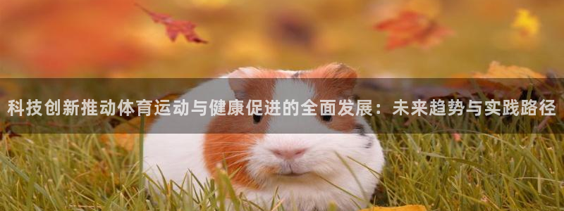 mk体育平台登录官网：科技创新推动体