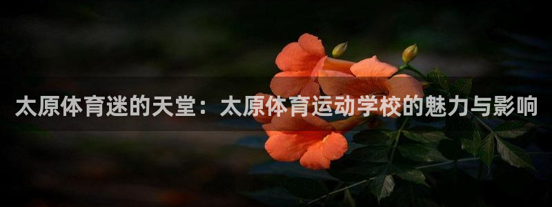 mk体育官网登录入口网址是多少：太原