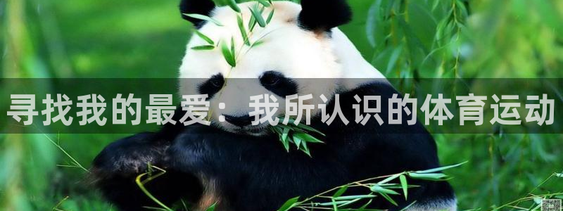 MK体育官网登录：寻找我的最爱：我所