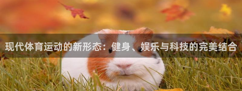mk体育官网登录入口网址：现代体育运