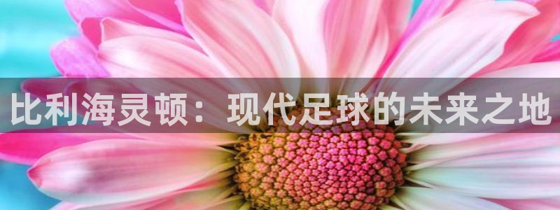mK体育在线官网：比利海灵顿：现代足