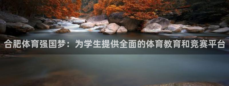 mk体育集团：合肥体育强国梦：为学生
