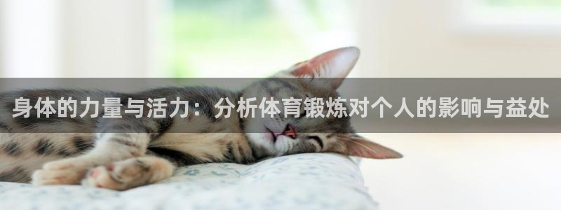 MK体育与其他体育平台合作介绍：身体