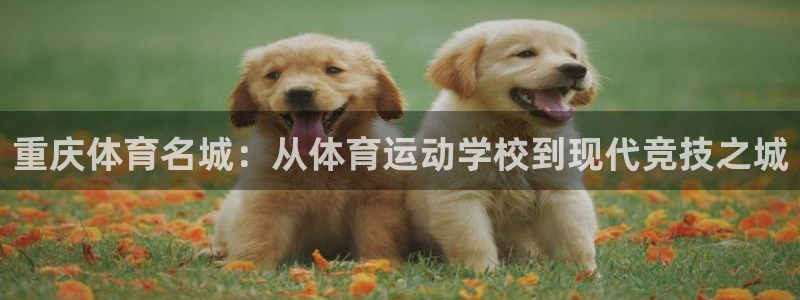 mk体育倒闭了吗知乎：重庆体育名城：